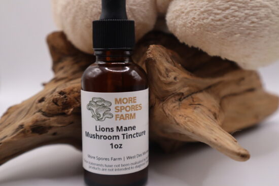 bottle of lions mane tincture next to fresh lions mane